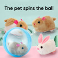 Hamster-Laufball-Spielzeug
