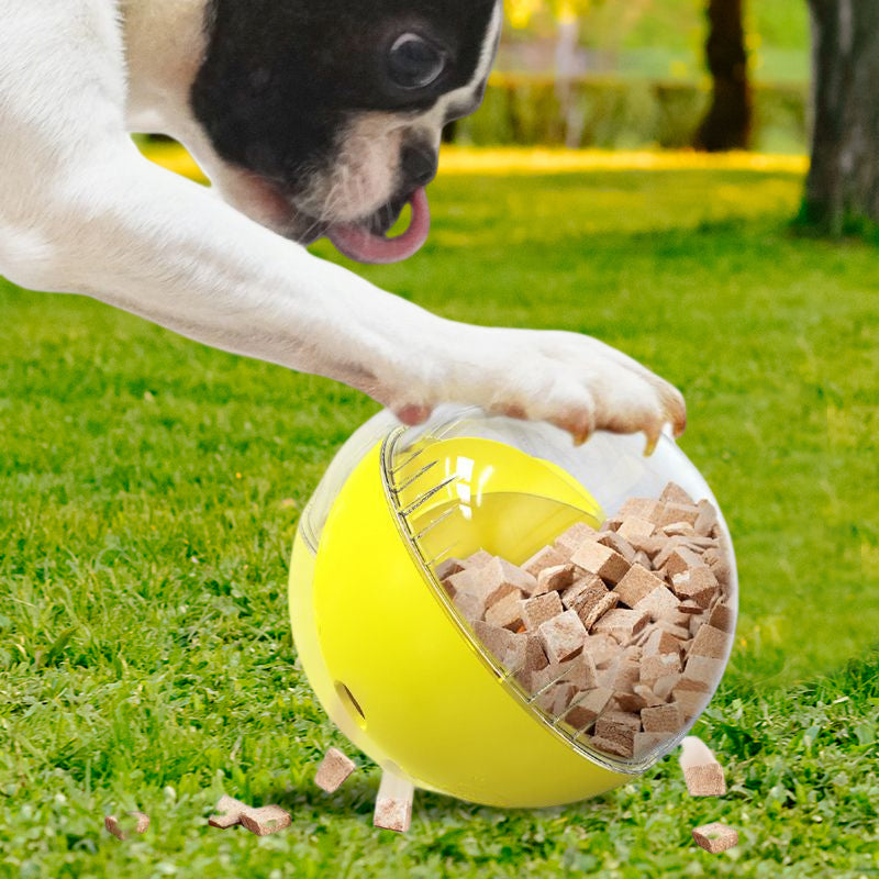 Multifunktionaler Hundespielzeugball Hauptbild