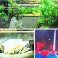 Öko-Aquarium-Wasserreiniger-Würfel