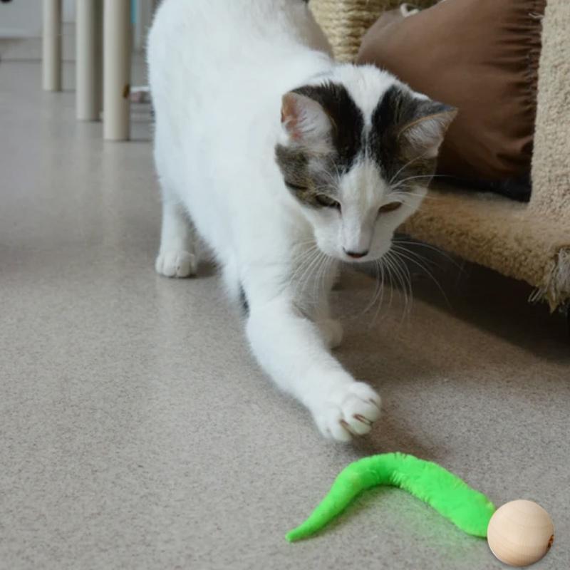 Wackeliges Katzenspielzeug mit Glöckchen Hauptbild
