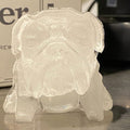 Bulldog-Eisform