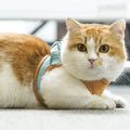 Set mit Weste, Geschirr und Leine für Katzen