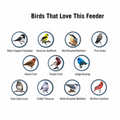 Proof-Vogelfutterspender
