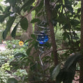 Windspinner-Ball-Spiralschwanz