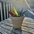 Mini-Oberteilfpflanzen, Dekoration, Gartenornamente
