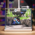 Schöne Taucher-Aquarium-Dekoration
