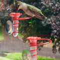 Fenster-Kolibri-Futterstation