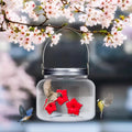 Wunderschöner Einmachglas-Kolibri-Futterspender