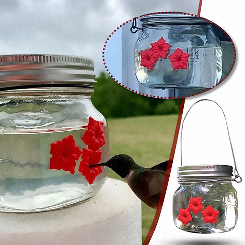 Wunderschöner Einmachglas-Kolibri-Futterspender Hauptbild