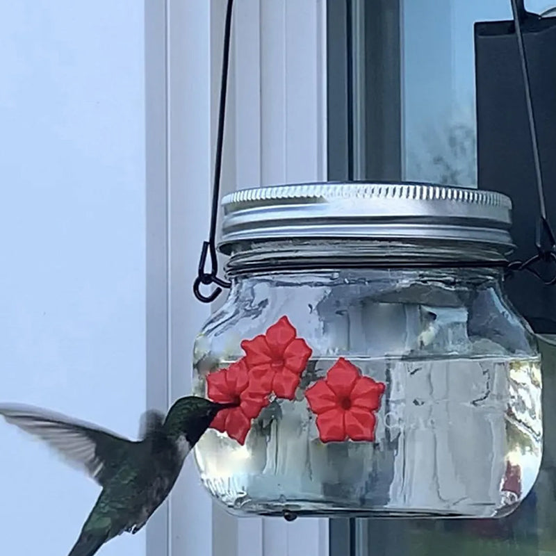 Wunderschöner Einmachglas-Kolibri-Futterspender Zweitbild