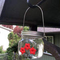 Wunderschöner Einmachglas-Kolibri-Futterspender