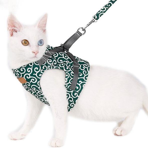 Set mit Katzenweste, Geschirr und Leine für Spaziergänge im Freien Zweitbild