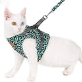 Set mit Katzenweste, Geschirr und Leine für Spaziergänge im Freien