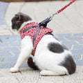 Set mit Katzenweste, Geschirr und Leine für Spaziergänge im Freien