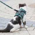 Set mit Katzenweste, Geschirr und Leine für Spaziergänge im Freien