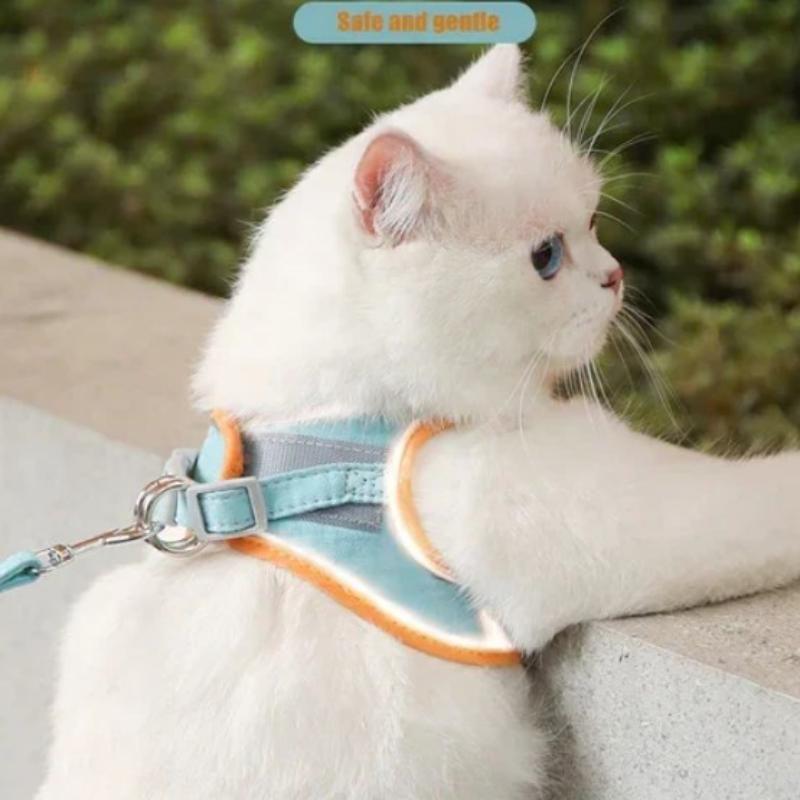 Set mit Weste, Geschirr und Leine für Katzen Hauptbild