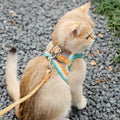 Set mit Weste, Geschirr und Leine für Katzen