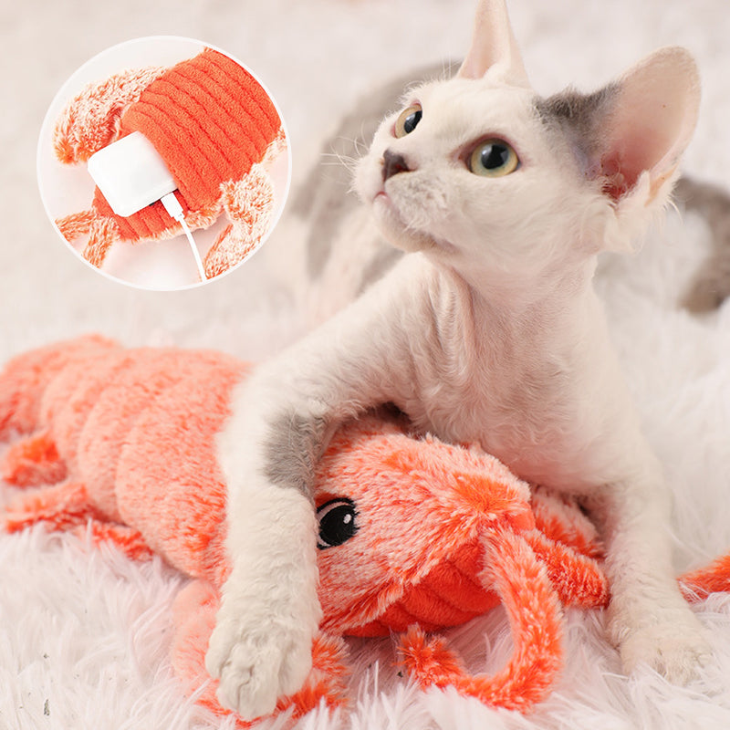 Interaktives Katzen- und Hundespielzeug Hauptbild