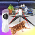 Laser-Katzenspielzeug