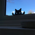 Unhöflicher Katzen-Mittelfinger-Streich