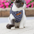 Set mit Katzenweste, Geschirr und Leine für Spaziergänge im Freien
