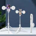 Selfie-Stick mit LED-Fülllicht