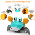 Kriechendes Krabbenspielzeug 🦀