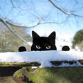 Unhöflicher Katzen-Mittelfinger-Streich