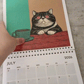 Wandkalender "Katzen chillen mit Büchern" 2026