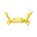 🦀 Krabben-Gewichtheber-Stifthalter