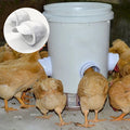 Fütterungsset, Spezialwerkzeuge für die Zucht von Hühnern, Enten, Geflügel, Zubehör
