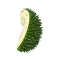 Durian Multifunktionsspielzeug