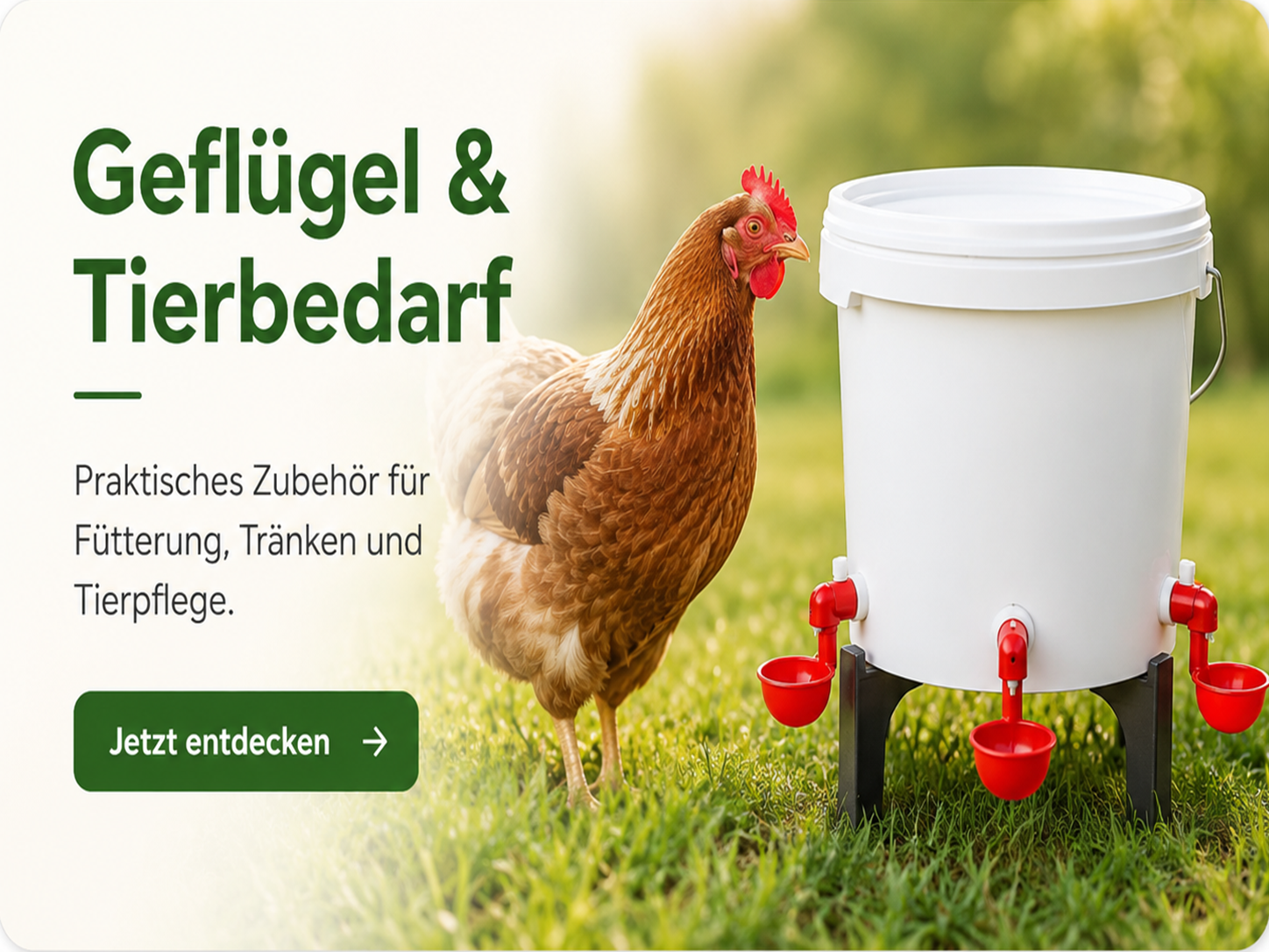Alle Produkte ansehen