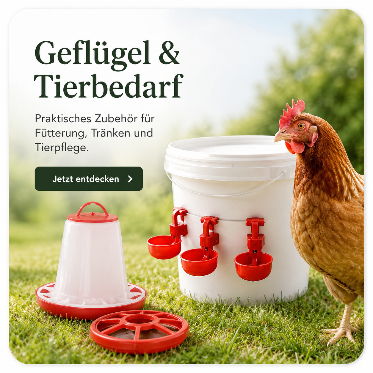 Mehr entdecken